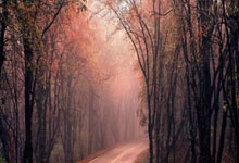 超级联赛高潮迭起，球员们迎来激烈对抗