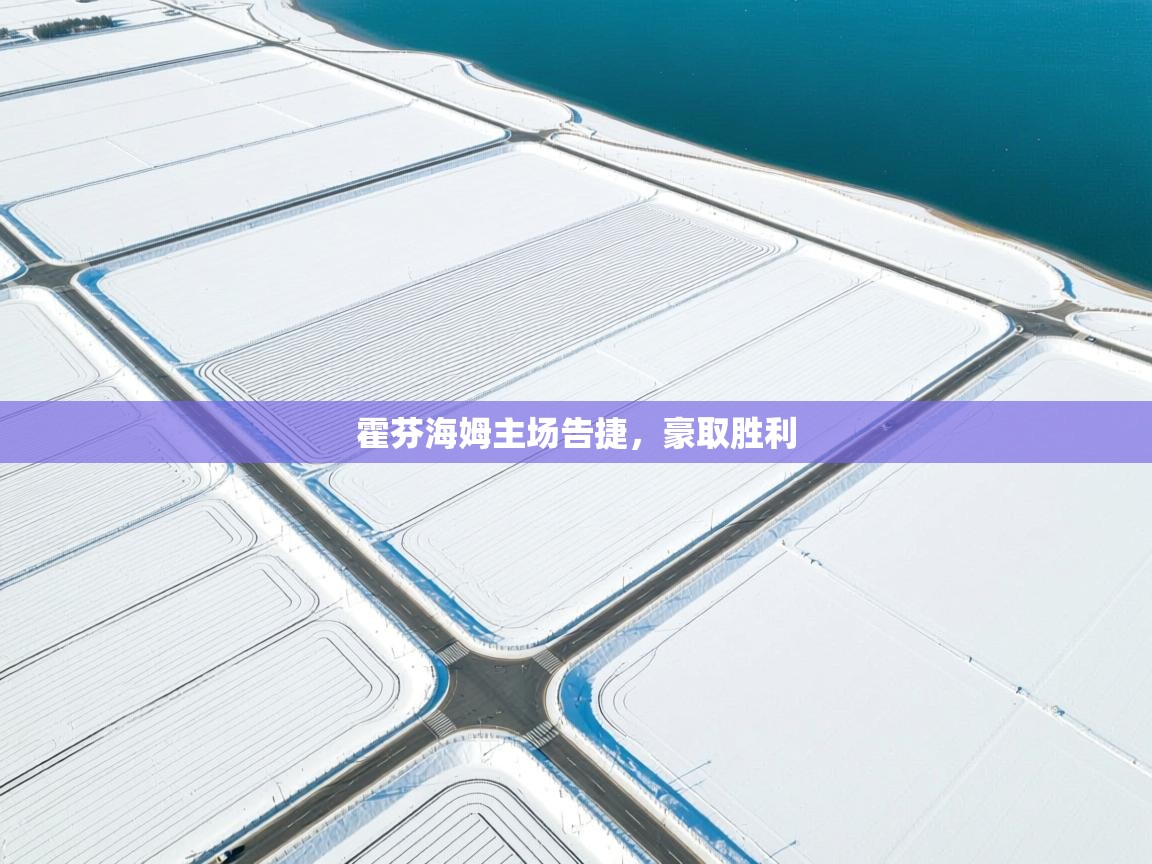 霍芬海姆主场告捷,豪取胜利 第1张