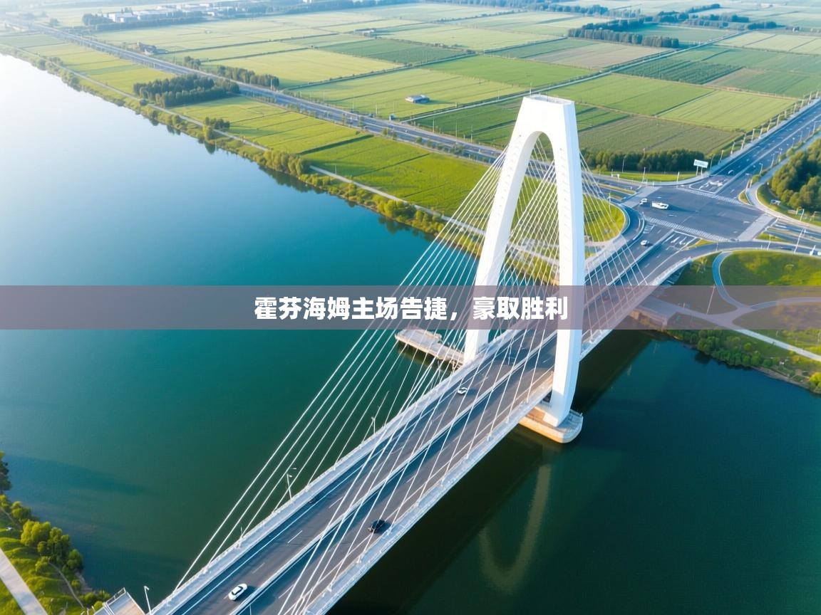 霍芬海姆主场告捷,豪取胜利 第2张