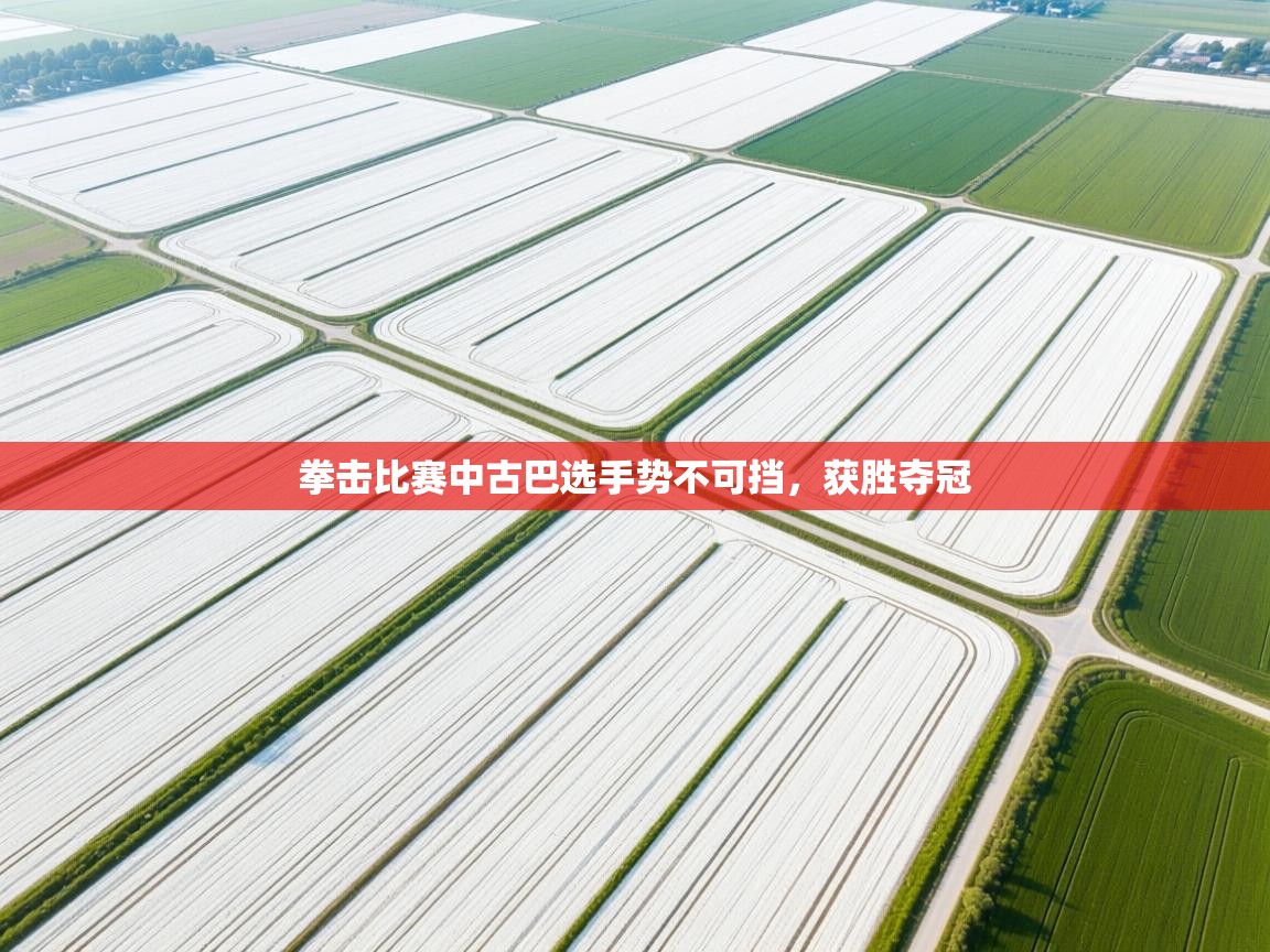 拳击比赛中古巴选手势不可挡，获胜夺冠