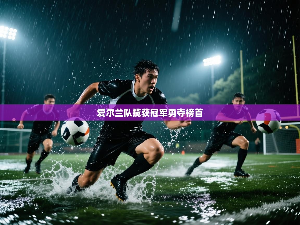爱尔兰队揽获冠军勇夺榜首