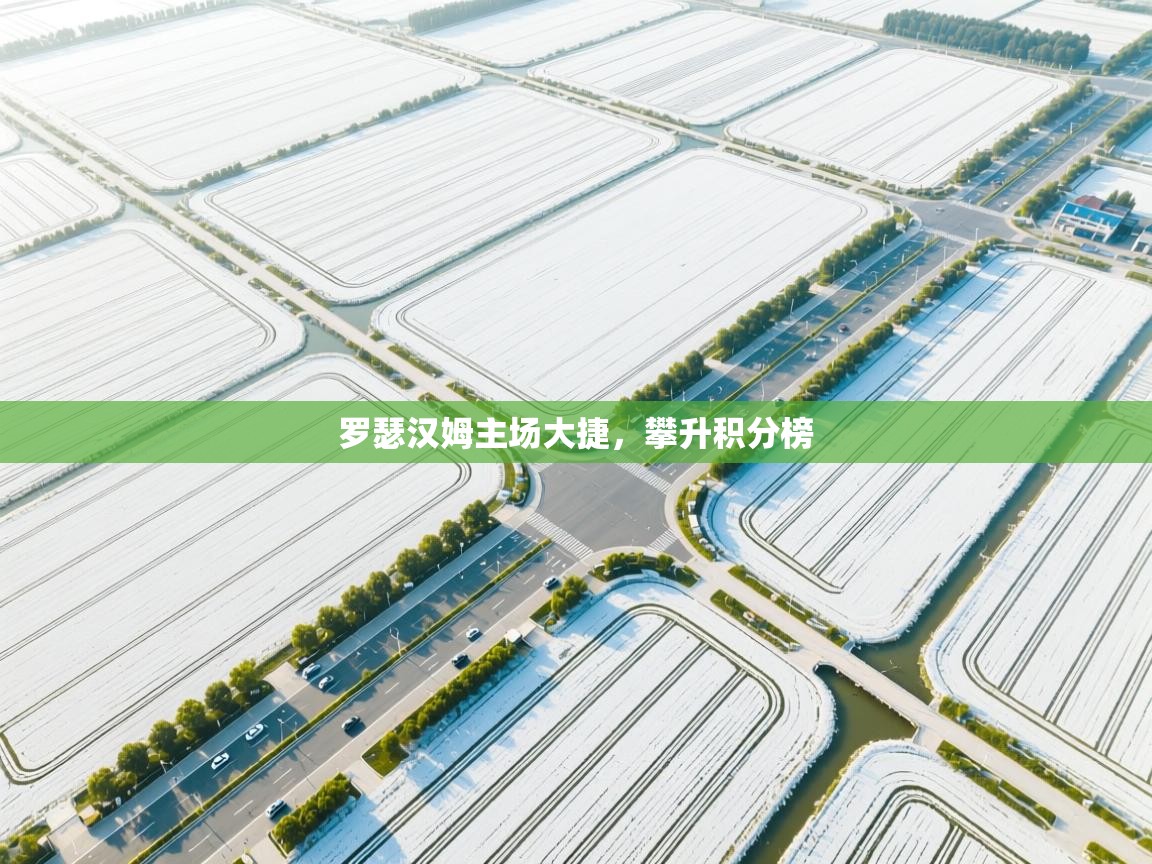 罗瑟汉姆主场大捷,攀升积分榜