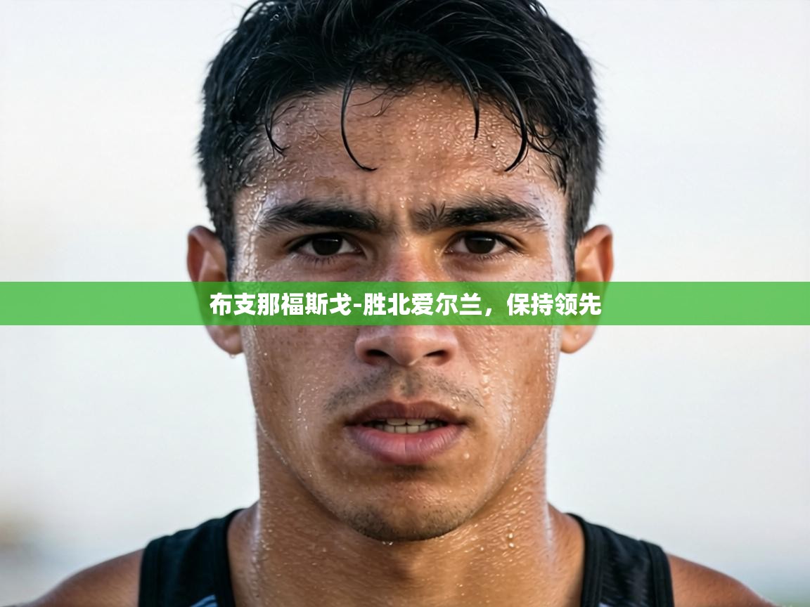 布支那福斯戈-胜北爱尔兰,保持领先 第2张