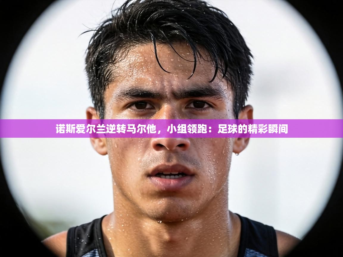 诺斯爱尔兰逆转马尔他,小组领跑:足球的精彩瞬间